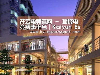 案例展示一(图1)