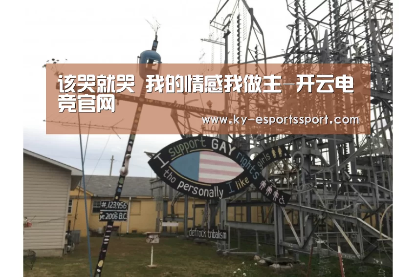 开云全站下载