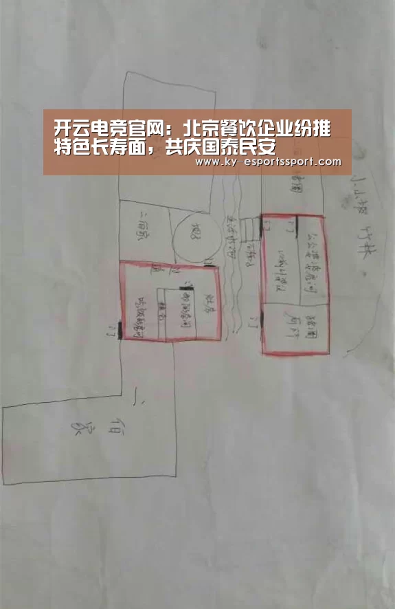 开云全站下载